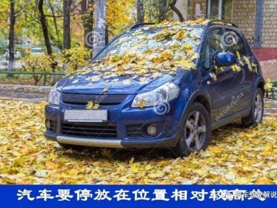 汽車久停與短途開一兩公里，誰更傷車？護車妙招來支招